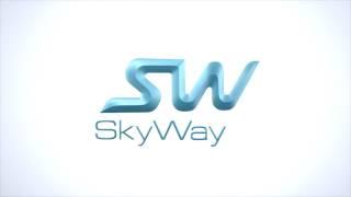 Как подтвердить достоверность акций SkyWay