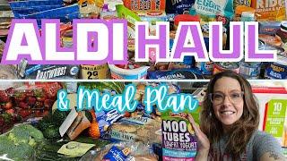 HUGE NEW ALDI HAUL/I JUST CAN'T SAY NO TO THE DEALS/GROCERY HAUL + MEAL IDEAS