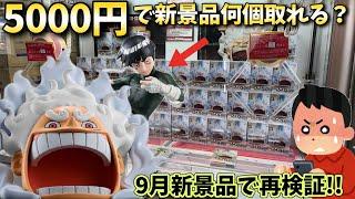 【再検証】夏休み設定は終了？9月は5000円で新景品何個取れるのかやってみた結果【ベネクス川越店】【クレーンゲーム】