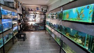 HUGE Fish Store Tour - AQUA EMPIRE