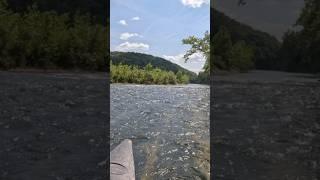 Floating  #ozarks #rivertime #rivers #canoe #peaceful