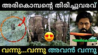 അരികൊമ്പൻ വേറെ ലെവൽ  | Arikomban | latest news | Troll video | Lucy Boy Editz