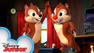 Shake Your Tails! | Compilation | Shake Your Tail with Chip ‘n Dale! | @disneyjr