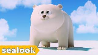 [‍️NEW] How I Met My Baby Polar Bear? | SEALOOK | EP.109