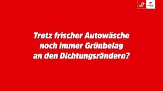 Grünbelag am Auto entfernen I STAR TANKSTELLEN