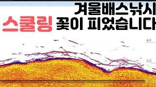 초 겨울배스낚시! 생각보다 빠르게 스쿨링된 안동호 배스포인트 공개! 메탈지그채비로 런커까지!