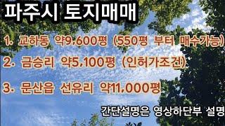 파주시  교하동, 금승리, 선유리 토지매매