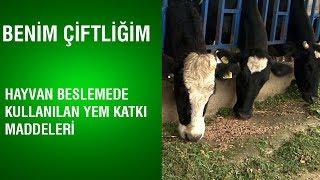 Benim Çiftliğim -  Hayvan Beslemede Kullanılan Yem Katkı Maddeleri