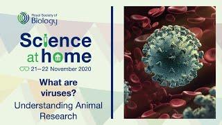What are viruses? | Science at Home | Royal Society of Biology