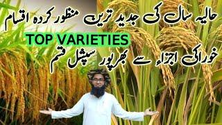 Latest Varieties| Top Rice variety| Fortified #rice #informationzone #abdulkhaliq #top #varieties