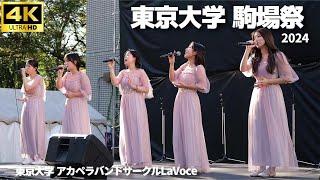 【駒場祭 2024】東京大学 アカペラバンドサークルLaVoce