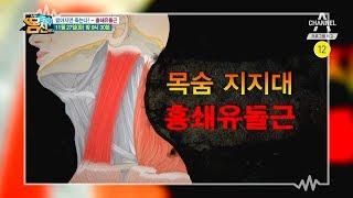 [몸신예고] 짧아지면 죽는다! 목숨 지지대 흉쇄유돌근 l 채널A 나는 몸신이다 203회