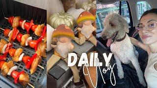 Daily Vlog // Ni s-au dat planurile peste cap! V-am ascultat sfatul | Decor de toamna si 2 retete