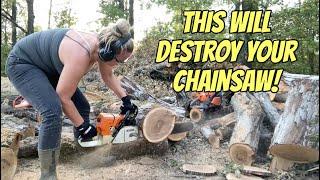 This One Minute Maintenance Will SAVE YOUR SAW! Stihl MS440 Echo CS-590 Timberwolf