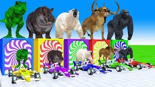 5 Giant Duck, Dinosaur, Hippo, Gozilla, Cow  Transfiguration funny animal 2024