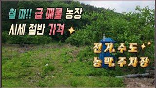 24- 05// 시세 절반가격에 나온 철마농장입니다. 주변에 대형 개발호재가있는 아주 좋은 곳입니다.