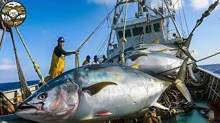 Amberjack Fishing, Breakthrough Amberjack fishing technique of US fishermen