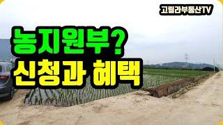 농지원부 신청과 혜택. 가능하면 빨리 만드세요. 【고릴라부동산TV】