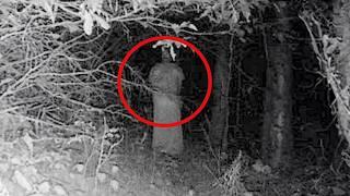 Top 15 Unsolved Mysteries Caught on Trail Camera