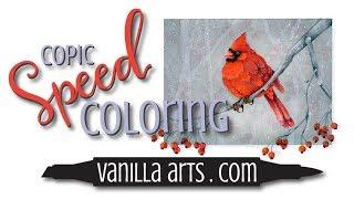 Color a Realistic Bird with Copic Markers-  Speed Coloring, Prismacolor Pencils, Distress Ink