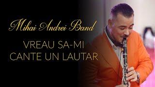 MIHAI ANDREI BAND  VREAU SA-MI CANTE UN LAUTAR  COVER