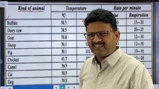 Normal temperature of domestic animals l pulse l Respiration l Dr Umar Khan