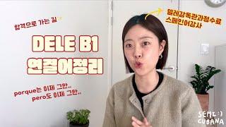 DELE 델레시험 B1 합격하기