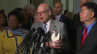 Rep. Cohen & chicken 3