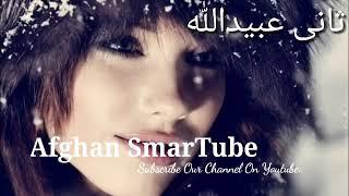 Mast Pashto Song sani ubaidullah jan