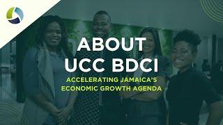 About the UCC Business Development & Consulting Institute | UCC BDCI