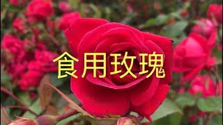 [Edible roses] 到底哪￼些玫瑰￼￼能吃？关于食用玫瑰你想知道的今天全都告诉你！