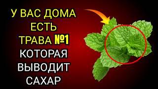 Всего ОДИН раз в день, чтобы УДАЛИТЬ ЛИШНИЙ САХАР и БОРОТЬСЯ с ДИАБЕТОМ!