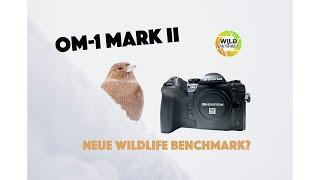 OM System OM-1 Mark II - Der neue Wildlife Benchmark? Mein Fazit