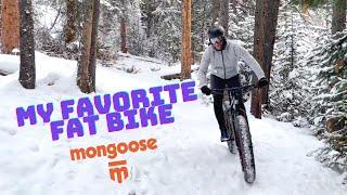 My New Favorite Fat Tire Bike- Mongoose Argus Sport Full Review