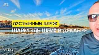 Красное море в ЕГИПТЕ ЗИМОЙ  Шарм Эль Шейх | СПА в отеле Rehana Royal Beach