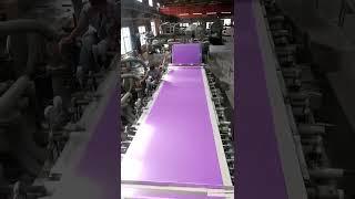 Purple Color Fiber Cement Board Production Line #fibercementboardproductionline #amulite