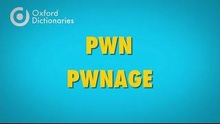 What does 'pwn' mean?