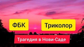 Трагедия в Сербии, Андрей Гнет, ФБК, Митинг в Белграде