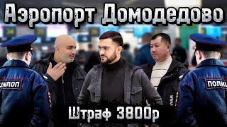 Срочно / Аэропорт Домодедово / Тафтиши Ҳуҷҷат / Штраф 3800р / 13.01.2024 / Абдулло Тч