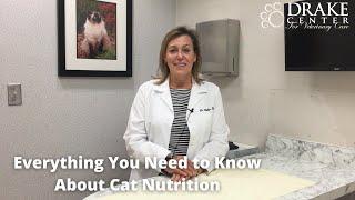 Everything You Need To Know About Cat Nutrition