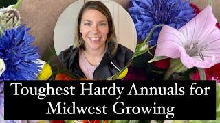 Toughest Hardy Annuals for Midwest Growing #flowers #seed #annuals #midwest #zone5 #springplanting