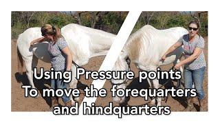 Using Pressure Points to move your horse's Forequarters and hindquarters and Buttons 1 and 3