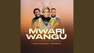 Mwari Wangu (Live) (feat. Takesure Zamar Ncube & Oncemore Six)