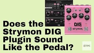 Strymon DIG Pedal or Plugin? Can You Really Tell a Difference??