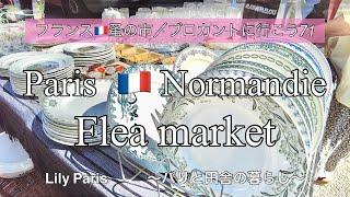 フランス蚤の市田舎の大きな蚤の市（後編）ミモザのお皿購入品のご紹介【蚤の市/ブロカントに行こう71】#105