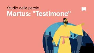 Martus - Testimone