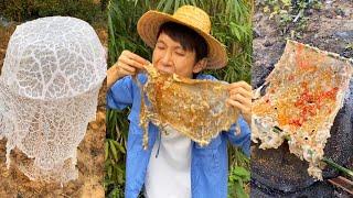 Grilled spider web|Chinese Mountain Forest Life and Food #TikTok#FYP