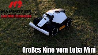 Erster Eindruck ? Großes Kino vom Luba Mini ! || Luba Mini Ersteindruck