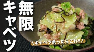 【キャベツレシピ】レンジで簡単キャベツがモリモリ無限に進む◎キャベツの消費に困ったらこれ！キャベツのツナ塩昆布和え お野菜摂取に困らない食物繊維でお通じ改善にも【今日のあと一品】【副菜レシピ】