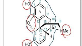 How to Name a Morphine Structure